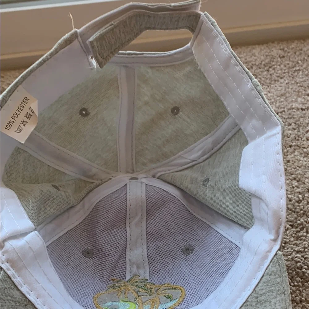 Gray Party Hat with Gold Embroidery
